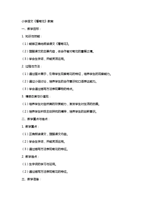 小学语文《看菊花》教案