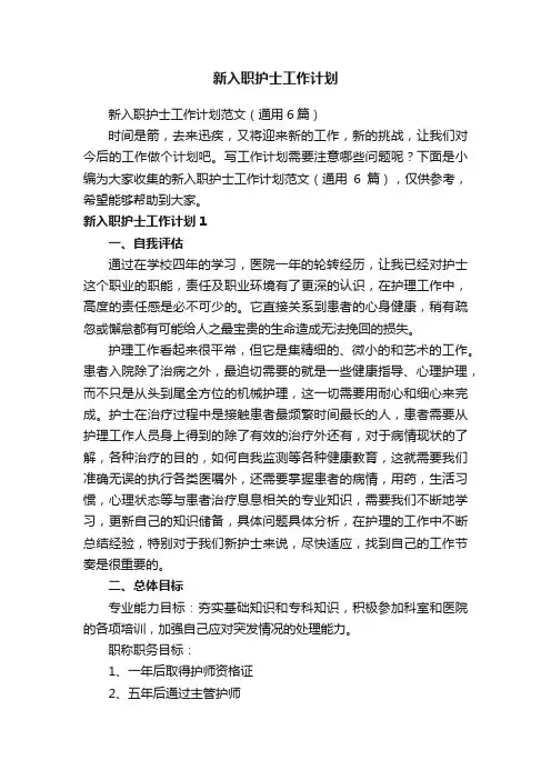 新入职护士工作计划
