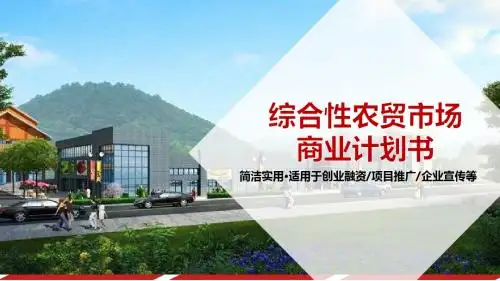 综合性农贸市场商业计划书