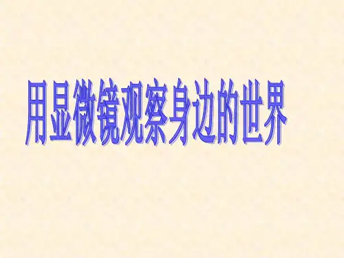 六年级下册科学课件用显微镜观察身边的生命世界(一) 教科版 (共46页)PPT