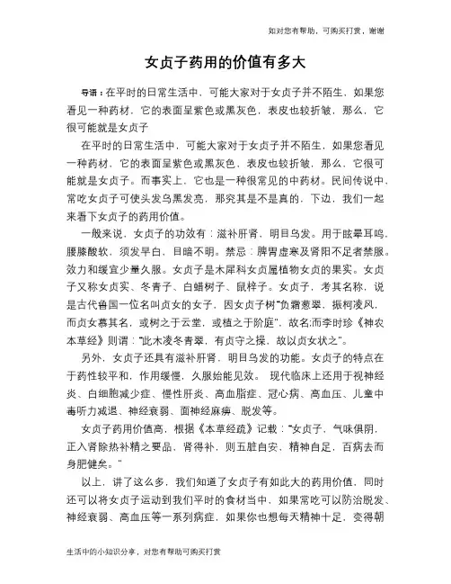女贞子药用的价值有多大