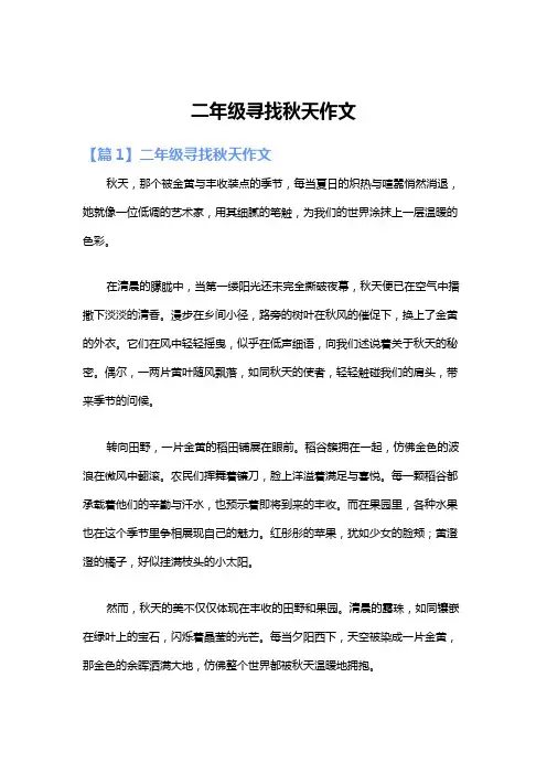 二年级寻找秋天作文