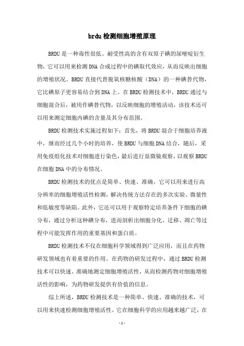 brdu检测细胞增殖原理