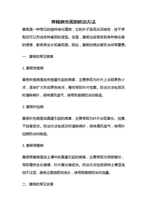 黄杨病虫害的防治方法