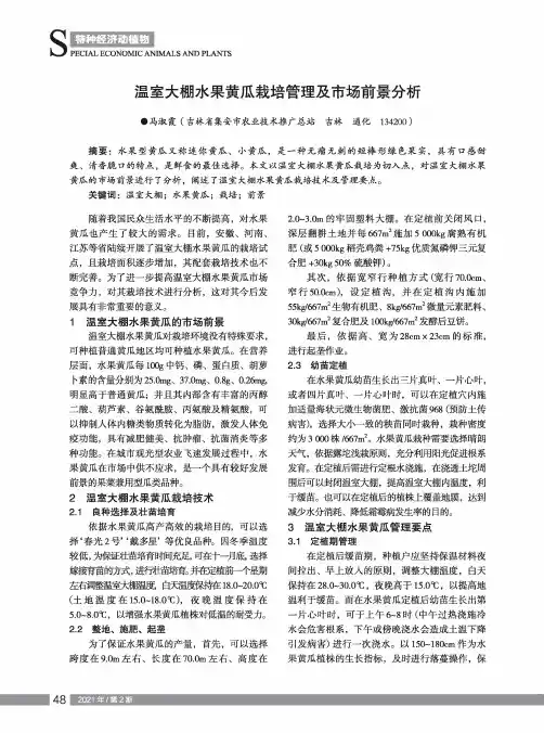 温室大棚水果黄瓜栽培管理及市场前景分析