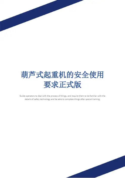 葫芦式起重机的安全使用要求正式版