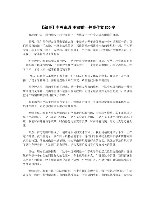 【叙事】车牌奇遇 有趣的一件事作文800字