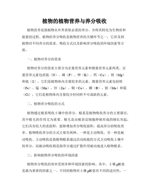 植物的植物营养与养分吸收
