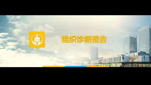 公司组织诊断报告