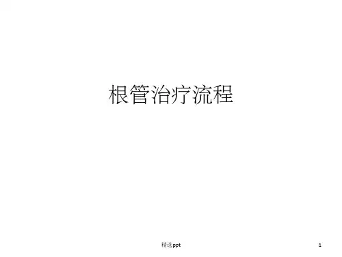 一次性根管治疗流程ppt课件