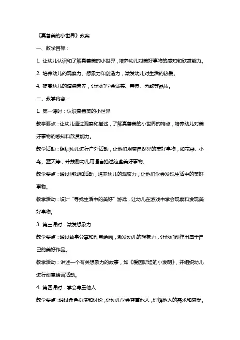 《真善美的小世界》教案