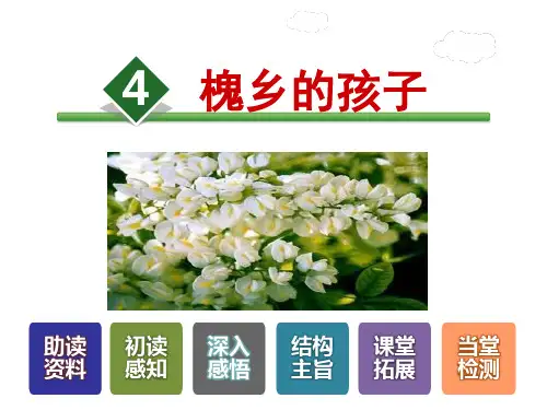 三年级上册语文课件-4.槐乡的孩子-人教新课标 (共38张PPT)