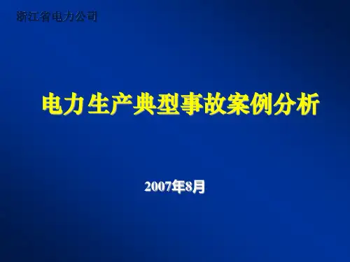 电力生产事故典型案例分析