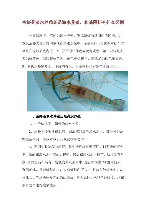 沼虾是淡水养殖还是海水养殖,和基围虾有什么区别