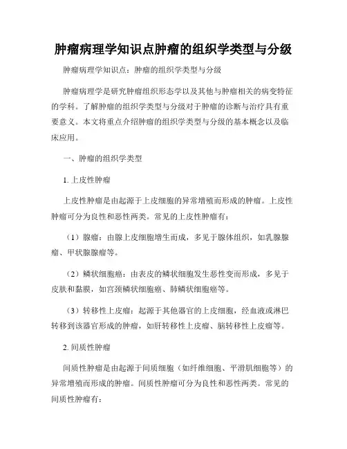 肿瘤病理学知识点肿瘤的组织学类型与分级