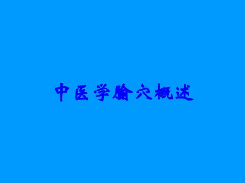 中医学腧穴概述