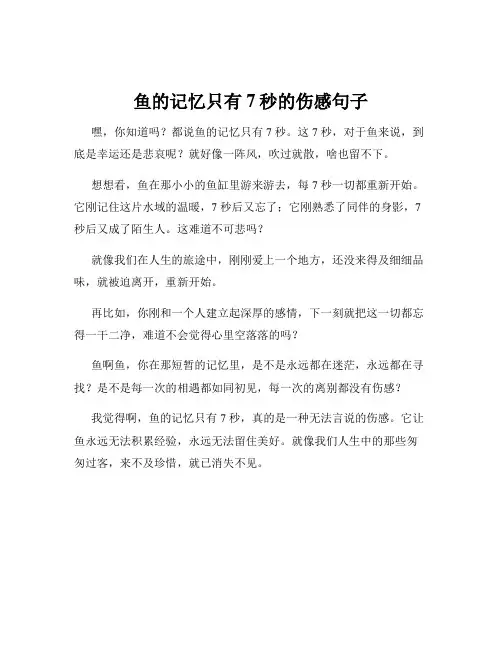 鱼的记忆只有7秒的伤感句子