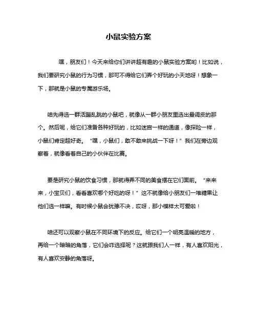 小鼠实验方案