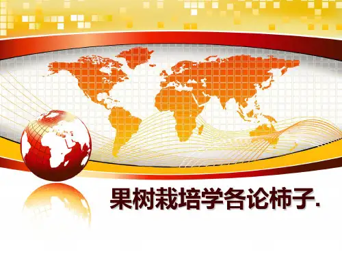 最新果树栽培学各论柿子.幻灯片课件