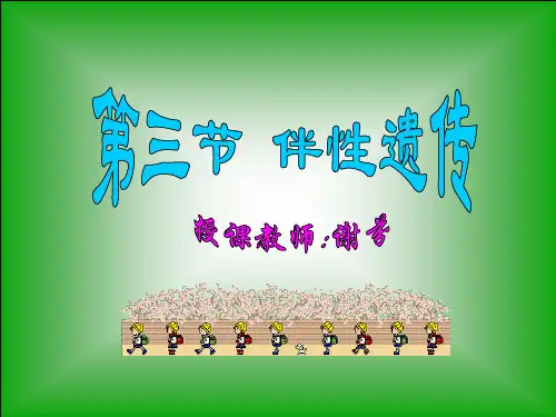 高中生物必修二伴性遗传(原创)课件