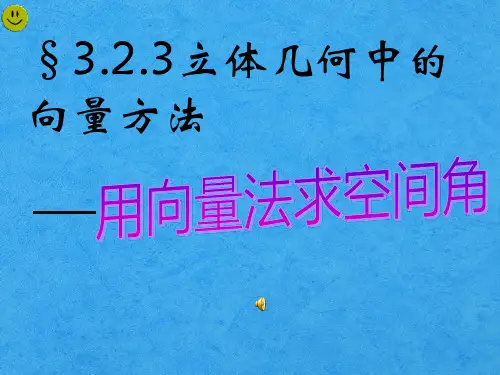 利用向量法求空间角