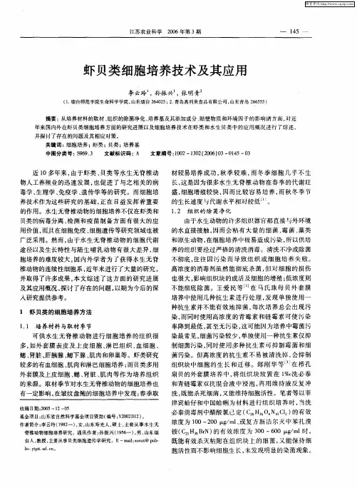 虾贝类细胞培养技术及其应用