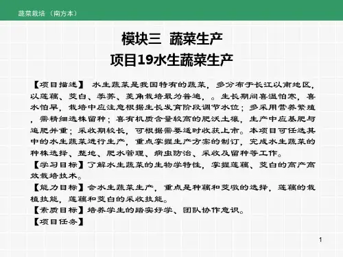 《蔬菜生产》课件——项目19 水生蔬菜生产
