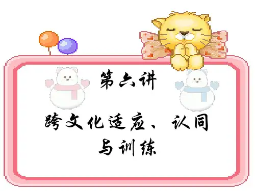 跨文化交际-跨文化适应