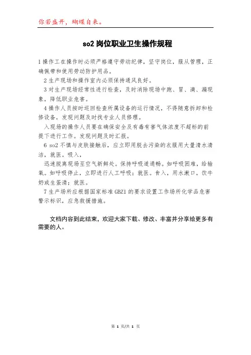 so2岗位职业卫生操作规程