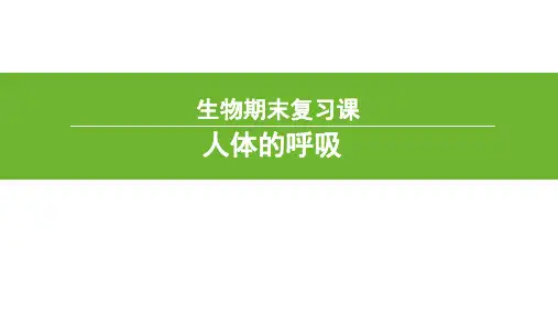 《人体的呼吸》复习资料