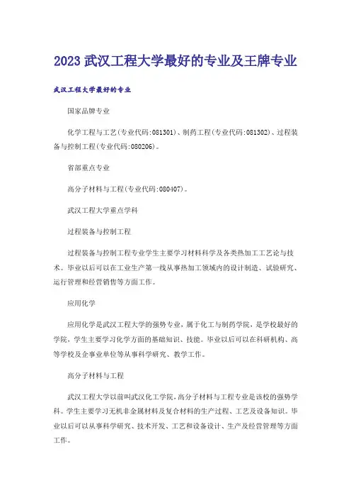 2023高考_武汉工程大学最好的专业及王牌专业