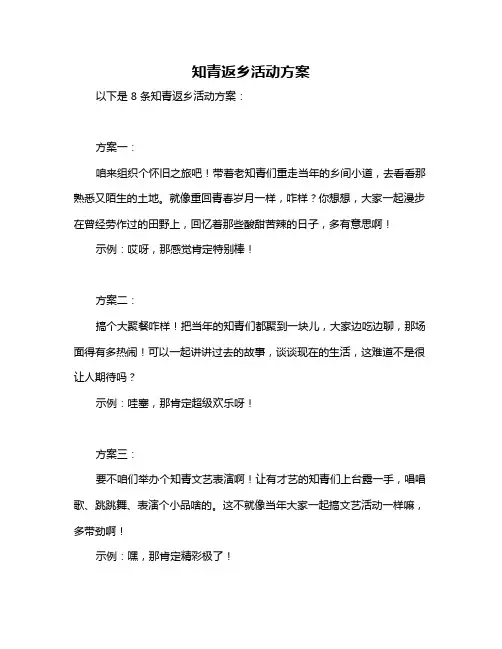 知青返乡活动方案