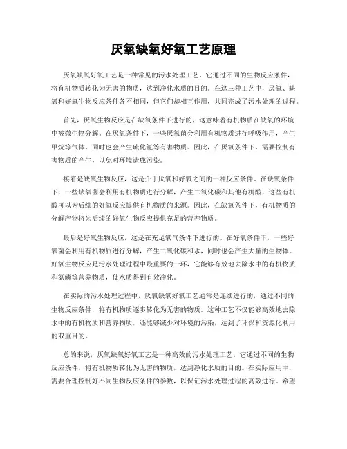 厌氧缺氧好氧工艺原理