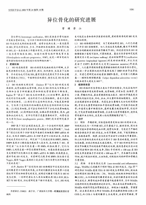 异位骨化的研究进展