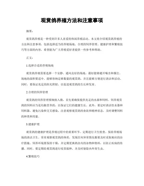 观赏鸽养殖方法和注意事项