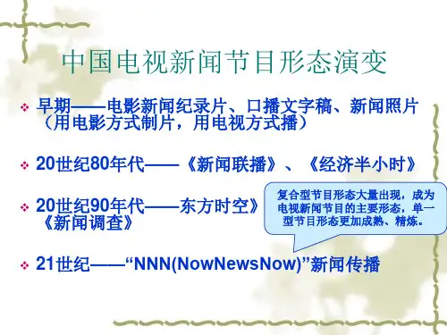 消息类电视新闻节目