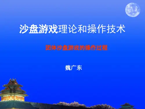 03团体沙盘游戏操作过程