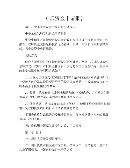 专项资金申请报告