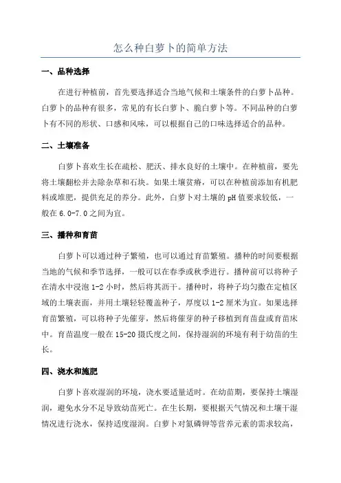 怎么种白萝卜的简单方法