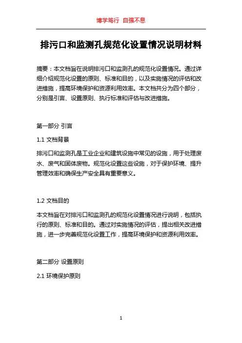 排污口和监测孔规范化设置情况说明材料