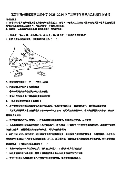 江苏省苏州市张家港高级中学2023-2024学年高三下学期第六次检测生物试卷含解析