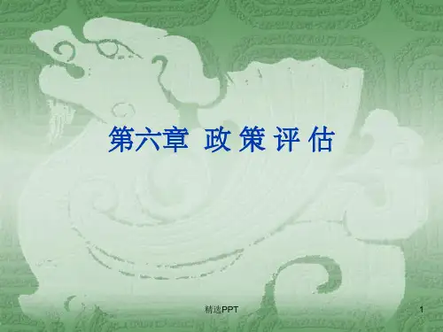 《政策评估》PPT课件 (2)