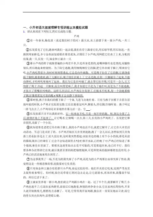 【阅读理解专项】部编人教版小升初语文试题【6套试卷】