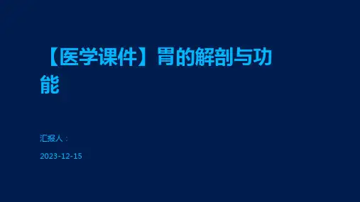 【医学课件】胃的解剖与功能