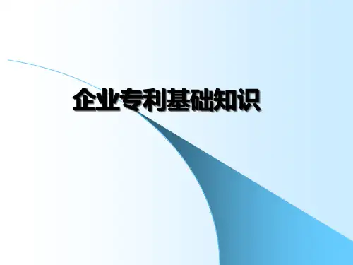 大型咨询公司企业专利基础知识培训