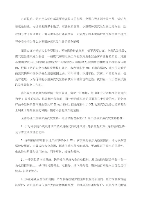 无需办证的小型蒸汽锅炉蒸汽发生器