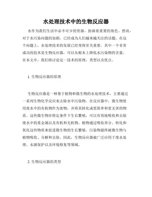 水处理技术中的生物反应器
