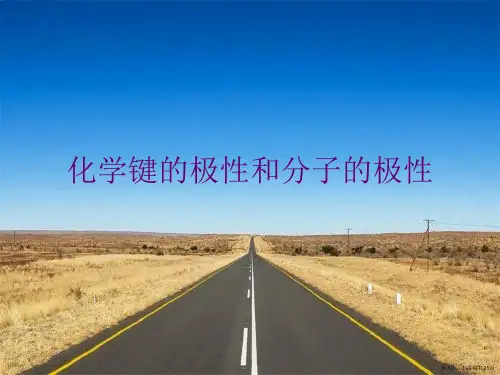化学键的极性和分子的极性