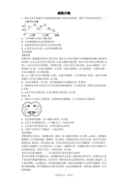 人教版必修二 减数分裂 作业3