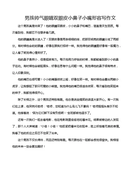 男孩帅气眼睛双眼皮小鼻子小嘴形容写作文